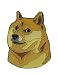 Balanced Co. Doge Meme Enamel Pin