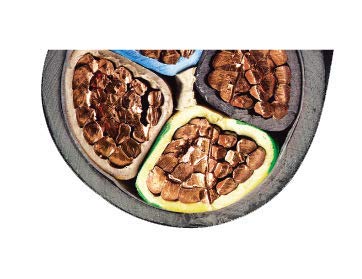 Innetoc Ratchet Cable Cutters,Aluminum Copper Wire Cutters For Cutting Electrical Wire As Ratcheting Wire Cut Hand Tool(500Mm2) #TOP7