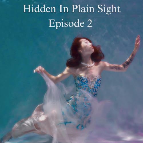 HIDDEN IN PLAIN SIGHT