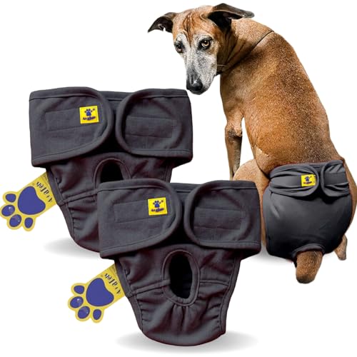 Image of A+a Pets' Cotton Dog Diapers | Stretchable Comfortable Washable and Reusable (Grey Combo, L)