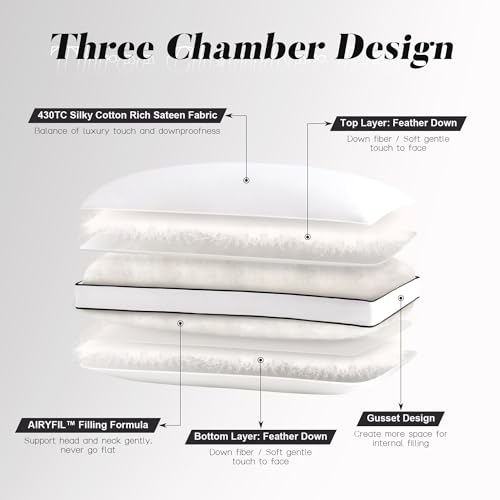 Image of DOWNSTORIA Goose Feather Down Pillows King Size Set of 2 with Gusset,Luxury Hotel Collection Bed Pillow 2 Pack,Down Surrounded Pillows for Sleeping,Soft Fluffy for Side,Back Sleepers 20x36 in.