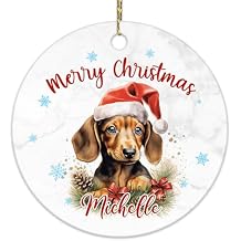 Hyturtle Personalized Christmas Ornament Gifts for Dog Lover - Dachshund Xmas Custom Name Ceramic Ornament - Cute Animal Lover Gifts for Women Kids Family - Xmas Tree Hanging Decoration