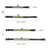 Hunde Halsband, LaRoo Blinkender LED Hunde Halsband Sicherheits Hundehalsband - 5