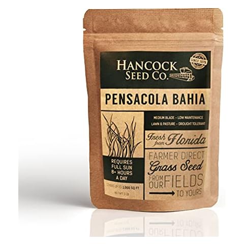 Hancock's Pensacola Bahia Grass Seed - Coated - 50 lbs. Cover