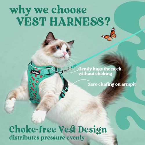 Image of rabbitgoo Cat Harness and Leash Set, Escape Proof Vest, Cherry Grove