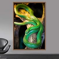 Framed Canvas Wall Art Snake Contemporary Dramatic Hallway Multicolor Photography Reptiles Snakes - 16x24 inches