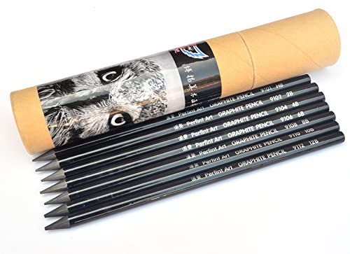 LI-GELISI Artist Willow Charcoal Sticks Charcoal Sketching Pencil (HB-2B-4B-6B-8B-10B-12B-EE-S-N-H each 2PCS)
