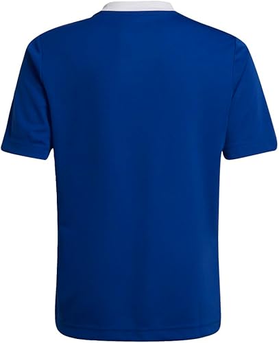 Miniatura 3 de adidas Camiseta Entrada 22 para Niños