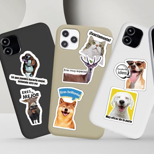 Image of Funny Spanish Cat & Dog Meme Stickers, Waterproof Vinyl Animal Decals for Water Bottles & Laptops, Hilarious Spanish Teacher Supplies & Student Gifts