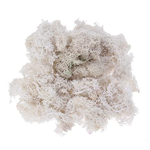 GLSTOY DIY Preserved Flower Materials 50g Moss Bulk for Wedding Bouquets Home Office Decor Easy to Use Moss Add-ons