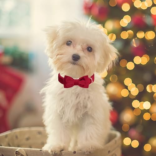 ARING PET Samt-Hundehalsband, niedliche rote Fliege, weiches, bequemes, verstellbares Samt-Hundehalsband mit Schleife für kleine, mittelgroße Hunde
