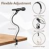 BILIONE 2 In 1 Gooseneck Mic Stand with Phone Clip, 13 Inch Flexible Mic Arm Desk Mount for Podium, Lecture, Podcast, Studio, Microphone Holder Compatible with Shure SM58, Beta 58A, Samson Q2U #2