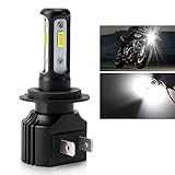 harley davidson night rod special scheda tecnica  Faro LED per moto