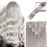 LORIEN Silver Grey Clip in Hair Extensions Real Human Hair Clip ins Remy Human Hair Clip in Extensions Invisible Natural Straight Seamless Clip on Hair Extensions 8pcs Double Weft 14 Inch 80g