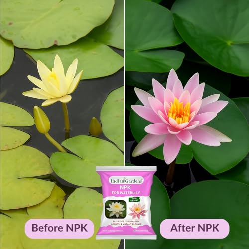 Image of Indian Gardens - NPK for Waterlily Fertilizer | 100% Water Soluble Plant Food | Boosts Flowering & Growth | Ideal for Home, Terrace, Pond & Garden Plants (200 Grams)