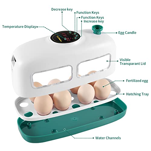 Azxiviz Egg Incubator, 8 Eggs Poultry Hatcher With Humidity Temperature Control, Led Candler And Display, Mini Chicken Incubator For Hatching Chicks, Quail Duck Goose Bird Turkey Eggs #TOP4
