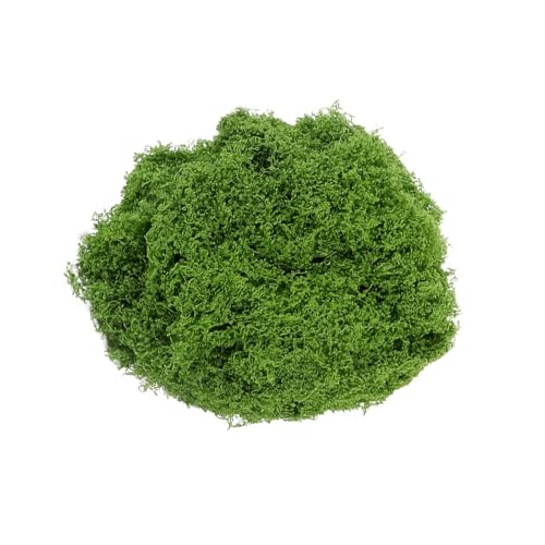 Enjoyaa 50 g de mousse artificielle naturelle vert foncé pour loisirs créatifs, lichen, fausses plantes vertes réutilisables, mousse en vrac filamenteuse pour fleurs, jardin, pelouse, travaux manuels