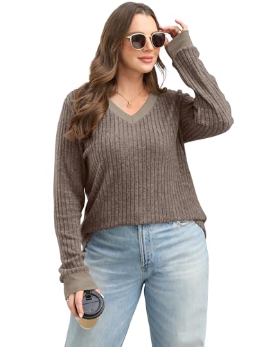 SAMPEEL Women's V Neck Color Block Long Sleeve Shirts–Casual Fall Tops, Lightweight Tunic Sweaters Fashion Outfits 20254