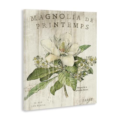 Stupell Industries French Magnolias In Spring XXL Stretched Canvas Wall Art, Proudly Made in USA by Stupell Industries - Used condition - Image 2