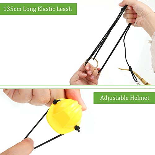 5 Pieces Bearded Dragon Accessories Toy Set Bearded Dragon Leashes and Harnesses S/M/L 3 Size Packed Lizard Harness Mini… - Image 6