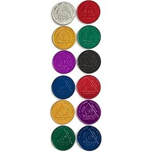 Aluminum AA Meeting Newcomer Sobriety Chips/Coins/Tokens – Complete Set of 12 Medallions – Includes: 24 Hours, 1/2/3/4/5/6/7/8/9/10/11 Months