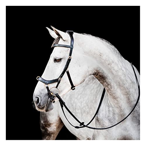 Horseware Ireland Micklem 2 Multi Bridle Black Standard