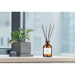 Weald tribe reed diffuser set for bathroom air fresheners oil diffuser sticks fresh linen scent 40 fl oz home fragrance with sticks defusers house bedroom office shelf decor  urban country home decor