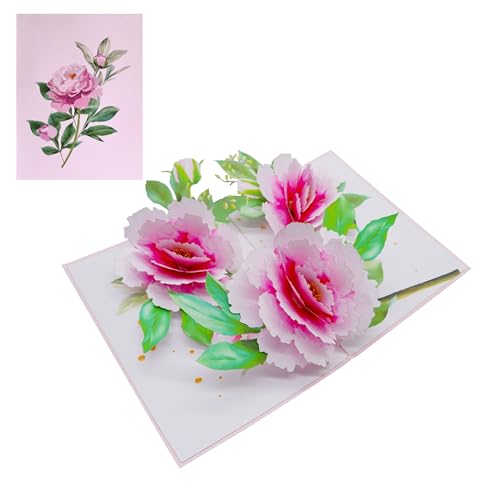 ETA 3D 3 Ỏ |bvAbvJ[h 3Dt[o[Xf[J[h FB K[th   ΂ nbs[̓ LO Ȃ̂Ƃz 肪Ƃ F41