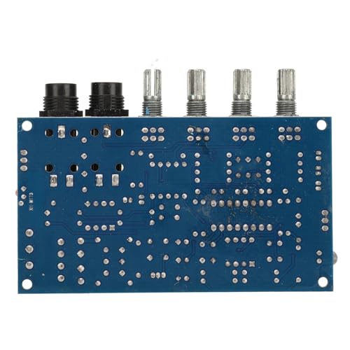 Oumefar Microphone Reverb Module, Microphone Reverb Plate Dual 12V AC Easy Installation PT2399 Chip for Karaoke