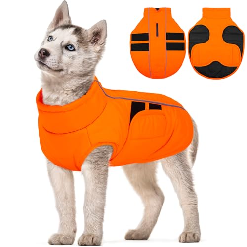 Kuoser Dog Jacket, Winter Dog Coats for Medium Dogs, Reflective Doggie Cold Weather Coats Pet Clothes, Puppy Snow Jacket for Frech Bulldog, Boston Terrier, Warm Hunting Vest, Orange M