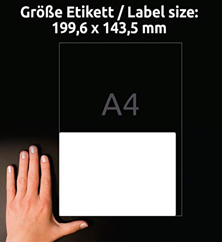 Avery Zweckform L4743REV-100 - Etichette