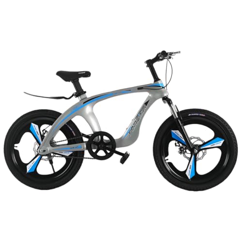 BackoluXs[h}EeoCN 20 C` 22 C`̃}OlVEfBC[AfBXN u[LzC[Aω׏d 100 kgA95% gݗčς݁Aj̎qA̎qAwAwɓKĂ܂ (Vo[u[A}`Xs[h,