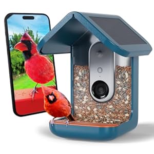 Mangeoire à Oiseaux Intelligente Birdbuddy Pro avec Caméra Solaire