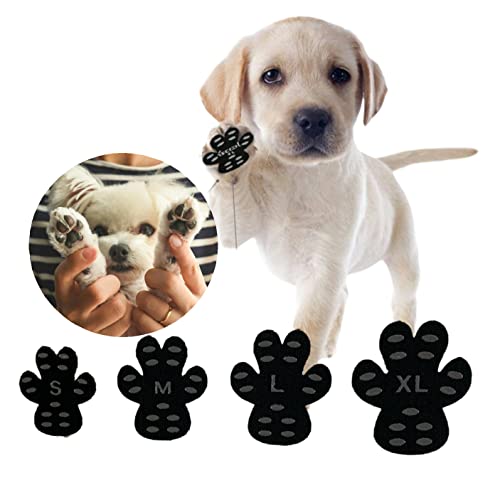 靴下 シール ペットの人気商品 通販 価格比較 価格 Com