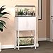 Herture 5-10 Gallon Fish Tank Stand, Metal Double Aquarium Stand with Cabinet for Fish Tank Accessories Storage, Heavy Duty 20.5