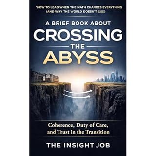 A Brief Book About Crossing the Abyss Audiobook By The Insight Job Executive Strategy cover art