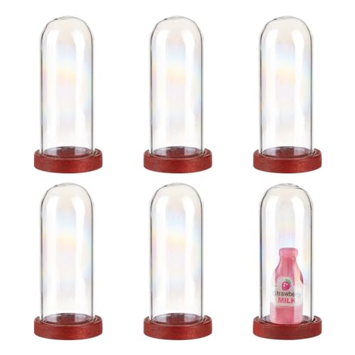DELORIGIN 6Pcs Clear Glass Dome With Wooden Base Mini Glass Bell Jar Hollow Glass Vial Stand for Artificial Flower Jewelry Gemstones Display Stand DIY Projects Wedding Party Keepsakes