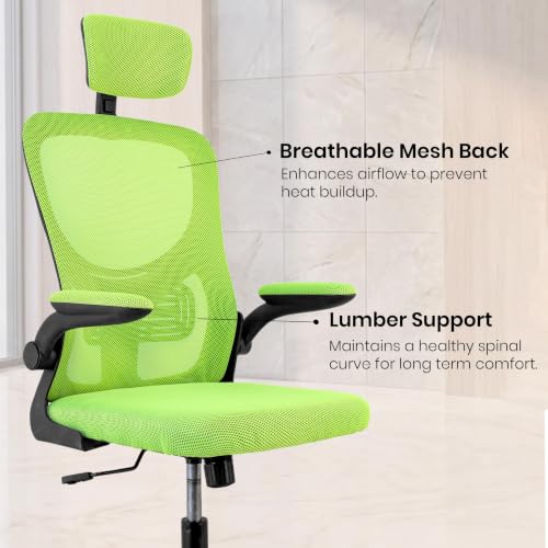 Image of Casa Copenhagen Green | High Back Imported Mesh Fabric Boss Office Chair | Y Design Ergonomic Back Support | 2D Aero Design Adjustable Armrests | Synchro Tilt Lock Mechanism