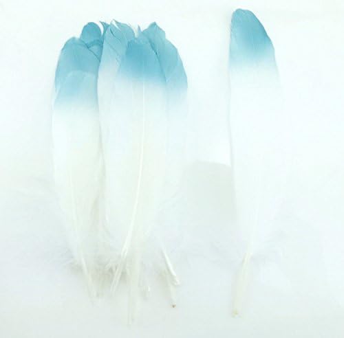Colorful Goose Feathers, for DIY Craft Wedding Home Party Decorations 20pcs/pack/ (6--9.5 inch) (White & Sky blue)