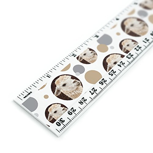 White Llama 12 Inch Standard and Metric Plastic Ruler