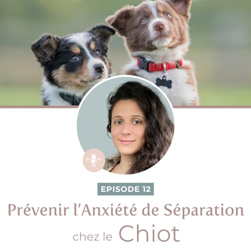 Episode 12 - Pr&eacute;venir l'Anxi&eacute;t&eacute; de S&eacute;paration chez le chiot