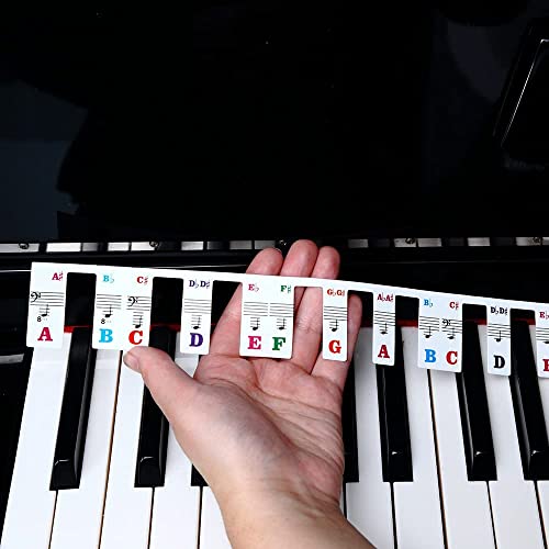 Lot de 88 étiquettes amovibles et réutilisables en silicone pour clavier de piano – Pour enfants et débutants – Arc-en-ciel - Les Beatles, Paul McCartney, John Lennon, RIngo Starr, George Harrison Lot de 88 étiquettes amovibles et réutilisables en silicone pour clavier de piano - Pour enfants et débutants - Arc-en-ciel – Image 4