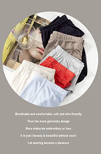 Men's Mulberry Silk Briefs Mid-Waist Underwear Breathable Satin Panties,Four Seasons2