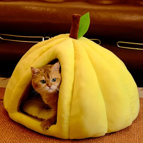 [JUI3N]  CG[ L xbh ybgxbh ~ h[ ybgpi g ӂӂ ybgNbV ybg}bg ybg\t@  킢  45*45CM ^nEX p ~ h \ h[^xbh Q