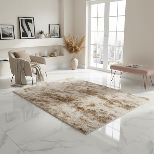 Dual Tone Shaggy Area Rug - Large Fluffy Modern Super Soft Thick ...