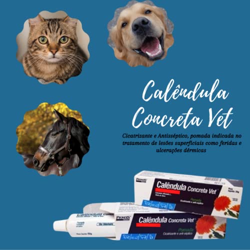 Pomada Calêndula Concreta Vet Simões - 20g