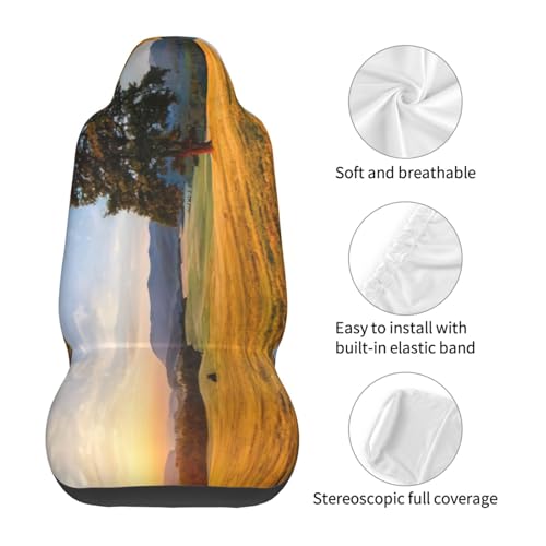 Fundas de asiento universales con estampado de hierba dorada para renovar tu coche (2 uds) 6