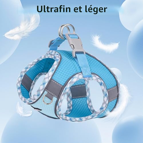 AIITLE Ensemble Harnais et Laisse pour Chien pour la Promenade, Harnais pour Chiot, Bandes réfléchissantes, pour très Petits Chiens et Chats domestiques Bleu XXXS – vue 4