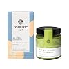 OSULLOC Green Tea Milk Spread (7.05 oz, 200g) & Honey Pear Tea (20 count, 1.06 oz)