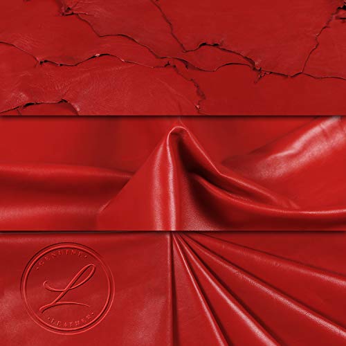 Laverapelle Men's Genuine Lambskin Leather Jacket (Black, Motorcycle Jacket) - 15014743